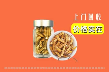 中山神湾镇回收散虫草