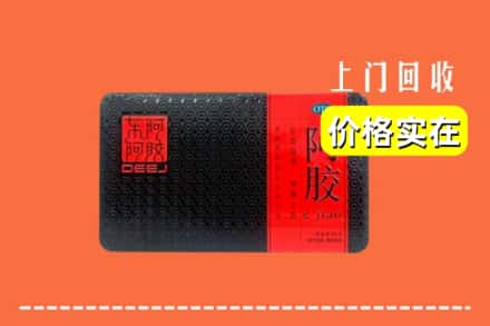 中山神湾镇回收阿胶