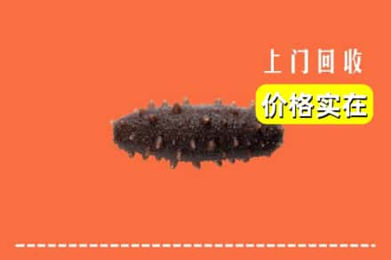 中山神湾镇回收海参
