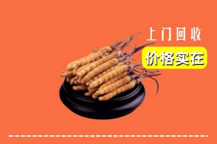 中山神湾镇回收冬虫夏草